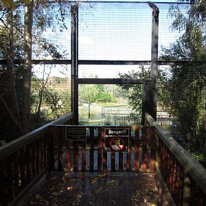 New viewing/feeding area for White Lions
