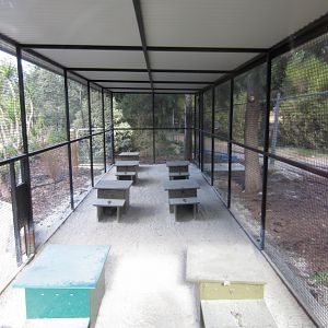 Little Penguin nestboxes