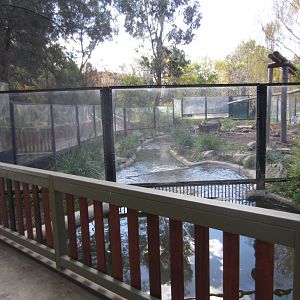 New viewing at back of Sun Bears