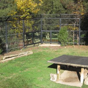 Tiger enclosure with new windows