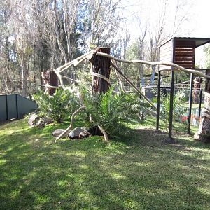 Tree Kangaroo enclosure