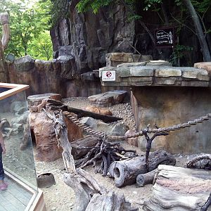 Black-Tailed Prairie Dog Exhibit