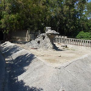Barbary sheep enclosure Zoo di Napoli 2012