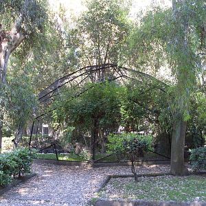 Eagle owl aviary Zoo di Napoli 2012