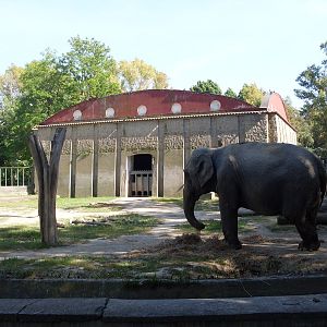 Elephant enclosure and house Zoo di Napoli 2012