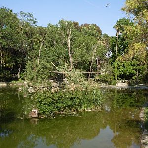 One half of waterfowl lake Zoo di Napoli 2012