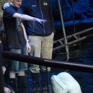 Spin (Aquatic Show) 5-2-12