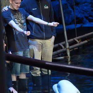 Speak (Aquatic Show) 5-2-12