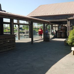 Polar Frontier - Main Polar Bear Viewing