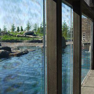 Polar Frontier - Main Polar Bear Viewing