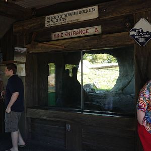 Polar Frontier - Kodiak Grizzly Bear Den