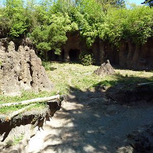 Warthog Exhibit - New in 2012
