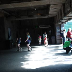 Polar Frontier - Polar Bear Underwater Viewing Area