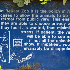 Privacy for animals - sign - Belfast Zoo