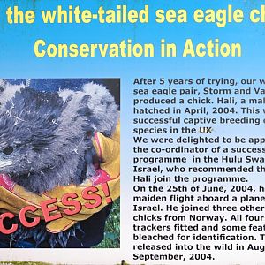 White-tailed Eagle Conservation sign
