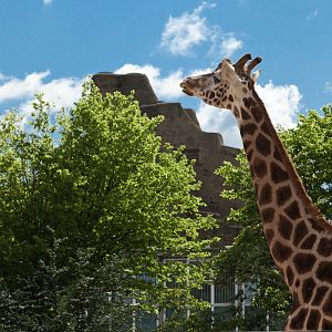 Whats Up There Then? - 12/05/2012