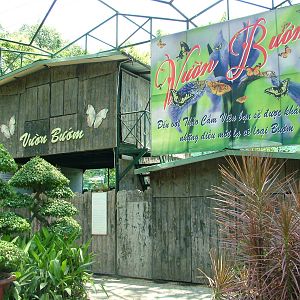 Butterfly Garden at Saigon Zoo, 16/03/12