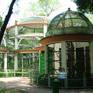 Gibbon House at Saigon Zoo, 16/03/12