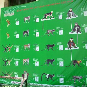 Signage Example at Saigon Zoo, 16/03/12