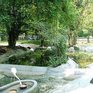Flamingo and Waterfowl Exhibit at Saigon Zoo, 16/03/12