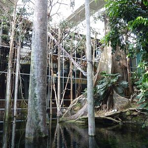 Main tank, 7th April 2012.