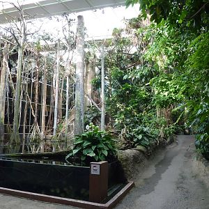 Inside the rainforest, 7th April 2012.