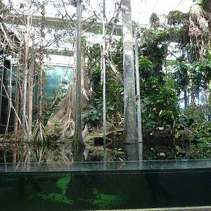 Main tank, 7th April 2012.