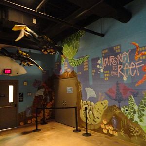 More Animals Added to Journey to the Reef Entrance