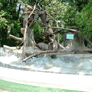 Binturong/Porcupine Exhibit at Saigon Zoo, 16/03/12
