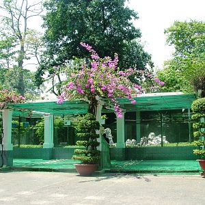 Aviaries at Saigon Zoo, 16/03/12
