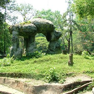 Bear Enclosure at Saigon Zoo, 16/03/12