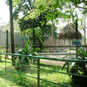Gemsbok Paddock at Saigon Zoo, 16/03/12