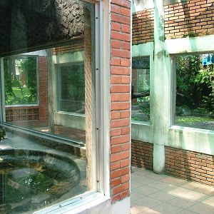 Reptile House at Saigon Zoo, 16/03/12