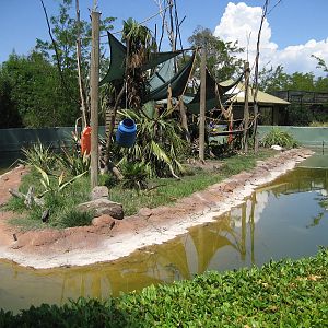 Capuchin Island - 2007