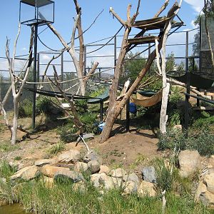 Colobus enclosure - 2007
