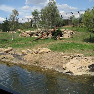 Lion enclosure - 2007