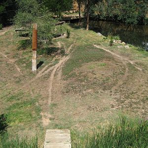 Tiger enclosure - 2007