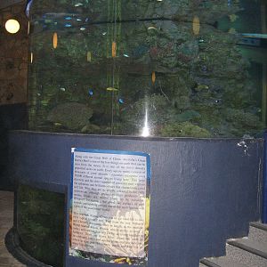 Two-story Marine Tank
