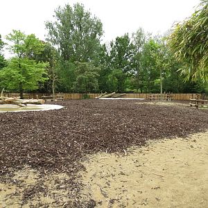 Indian Rhinoceros Enclosure