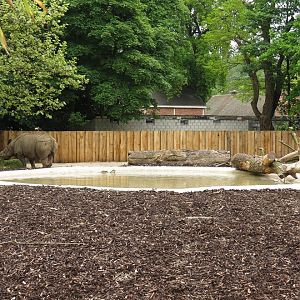 Indian Rhinoceros Enclosure