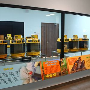 Breeding and Research Centre