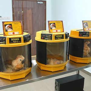 Breeding and Research Centre