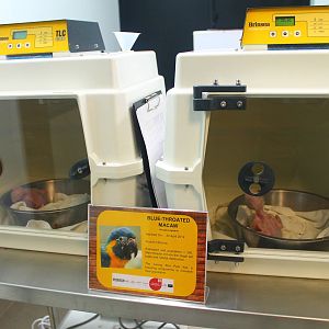 Breeding and Research Centre