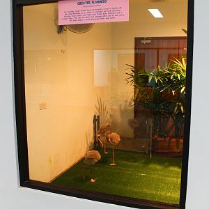 Breeding and Research Centre