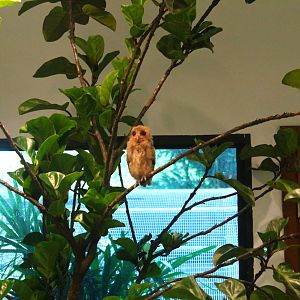 Breeding and Research Centre