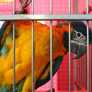 Breeding and Research Centre