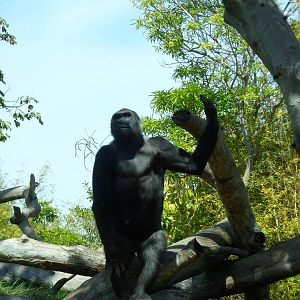 Gorilla