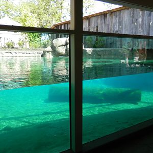 Hippoquarium with deck