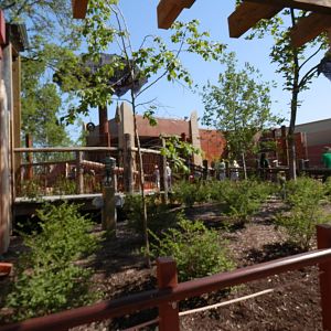 trail thru elephants