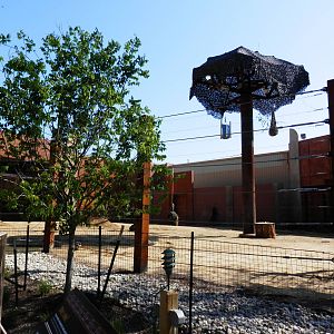 Tembo Trail-elephant yard